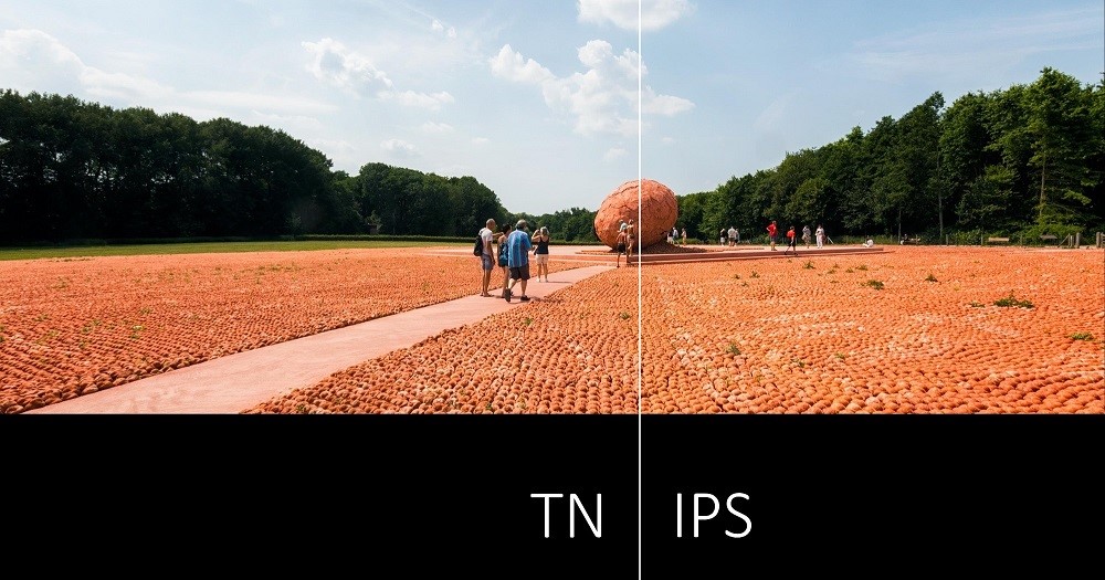 تفاوت پنل های IPS و TN - بررسی مزایا و معایب هر کدام